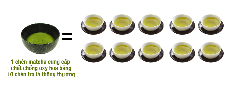 1 chén Matcha cung cấp chất chống oxy hóa bằng 10 chén trà lá thông thường_chiaki.vn