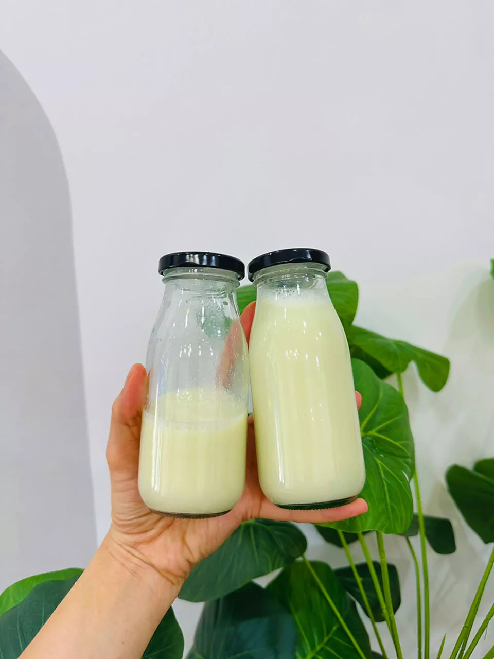 Máy Làm Sữa Hạt Gemhaus GH150 6in1 Dung Tích 1.2L - Xay Đậu Cà Phê, Ngũ Cốc, Nước Ép Rau Củ, Cối Thủy Tinh Chịu Nhiệt