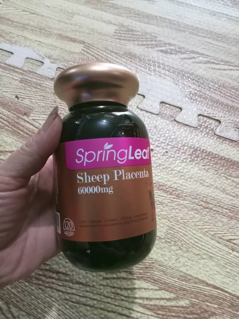 (Hàng nhập khẩu) Viên uống nhau thai cừu Spring Leaf Sheep Placenta