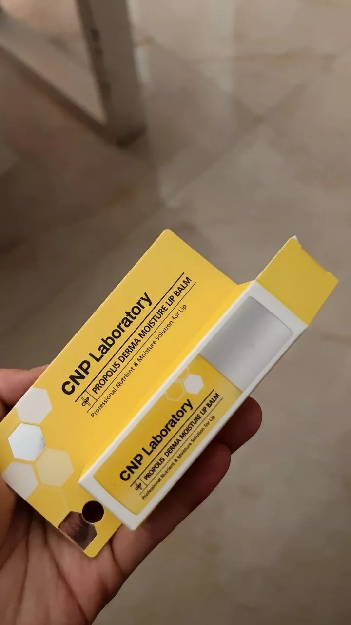 Son Dưỡng Môi CNP Propolis Derma Moisture Lip Balm - Đặc Trị Khô Nẻ, Chiết Xuất Keo Ong 4g, Dưỡng Ẩm Mượt Mà Cho Môi