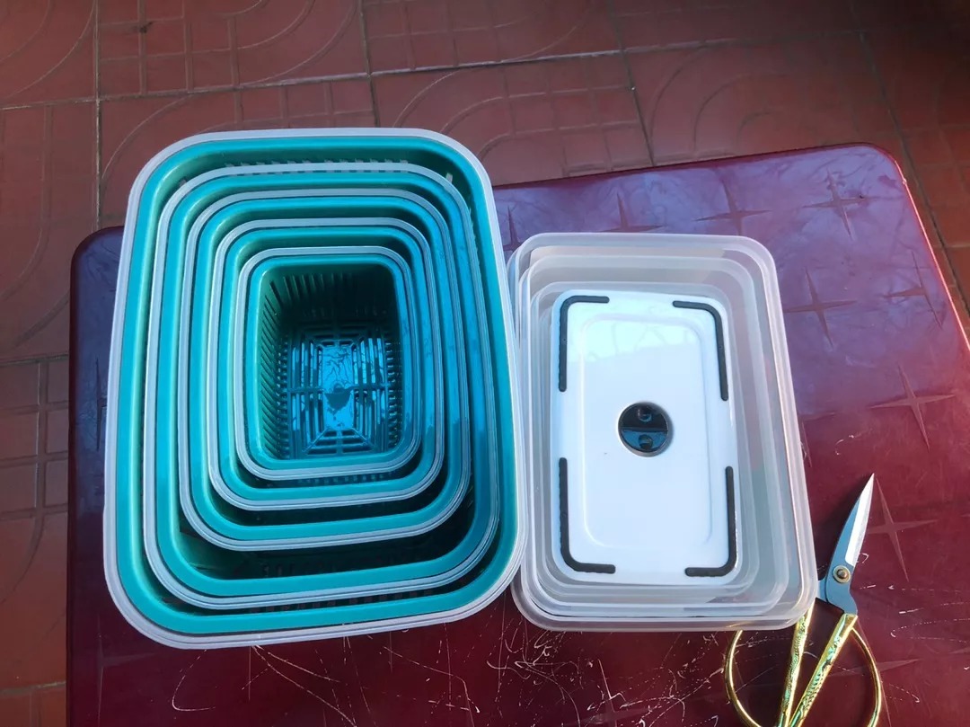 Set 5 hộp đựng thực phẩm có nắp đậy - Giải pháp tiện lợi cho tủ lạnh, bảo quản rau củ quả tươi ngon, tiết kiệm không gian