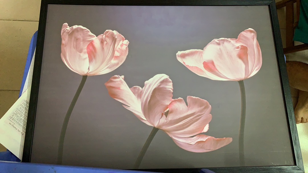 Tranh Canvas Hoa Tulip Tối Giản - Trang Trí Phòng Khách Sang Trọng, Thiết Kế Độc Đáo Cho Không Gian Sống Tươi Mới