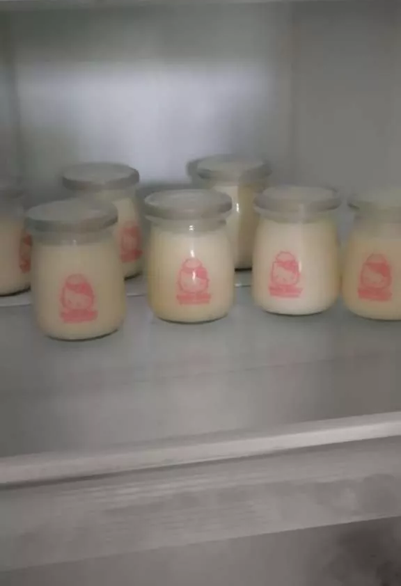 Máy làm sữa chua Chefman CM-321T 12 cốc thủy tinh - Giải pháp tiện lợi cho yogurt tại nhà, tiết kiệm thời gian và công sức