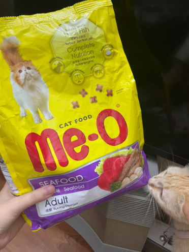 Thức ăn hạt cho mèo trưởng thành Me-O Cat Seafood vị hải sản - Dinh dưỡng hoàn hảo cho mèo khỏe mạnh 350g