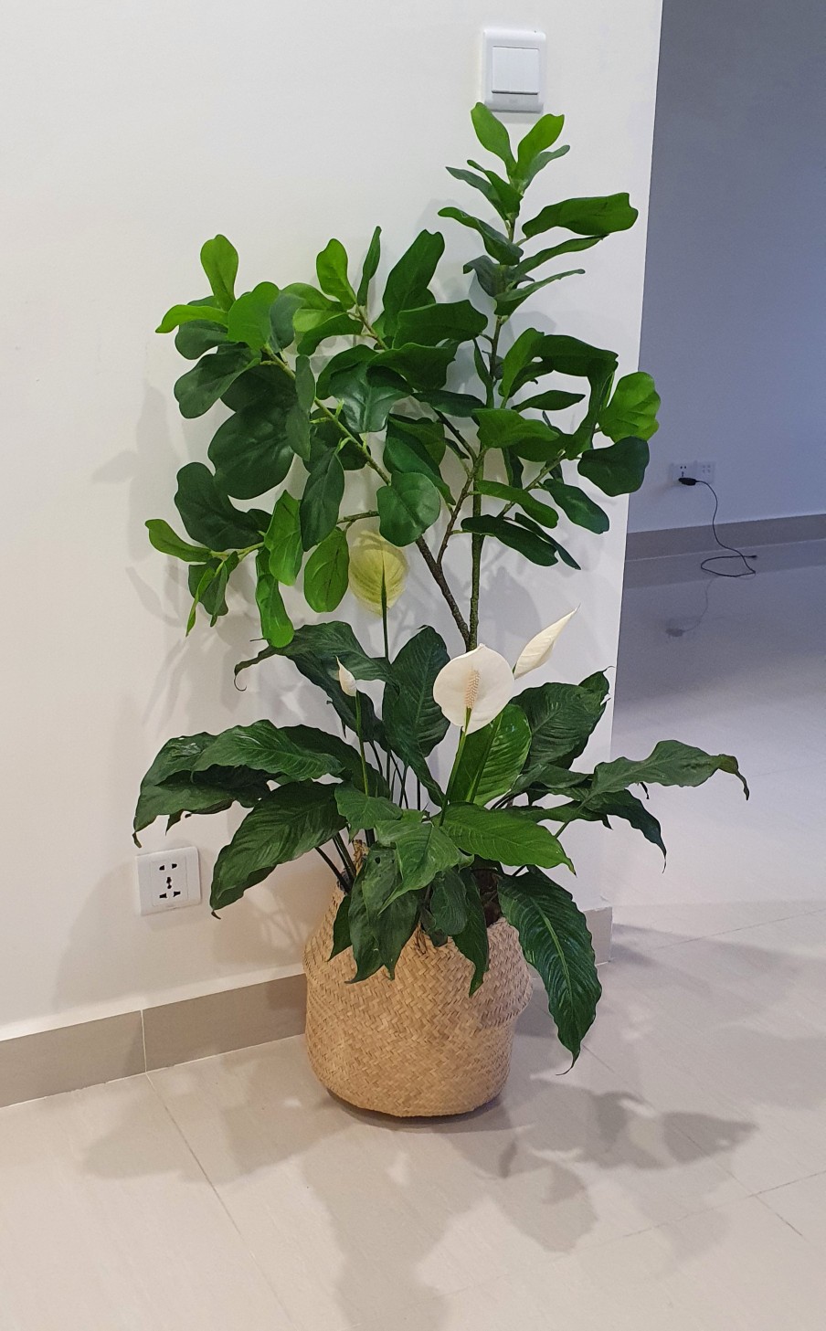 Giỏ Cói Trồng Cây Thủ Công - Vật Trang Trí Tự Nhiên Cho Phòng Khách, Homestay, Quán Cà Phê - Thân Thiện Môi Trường