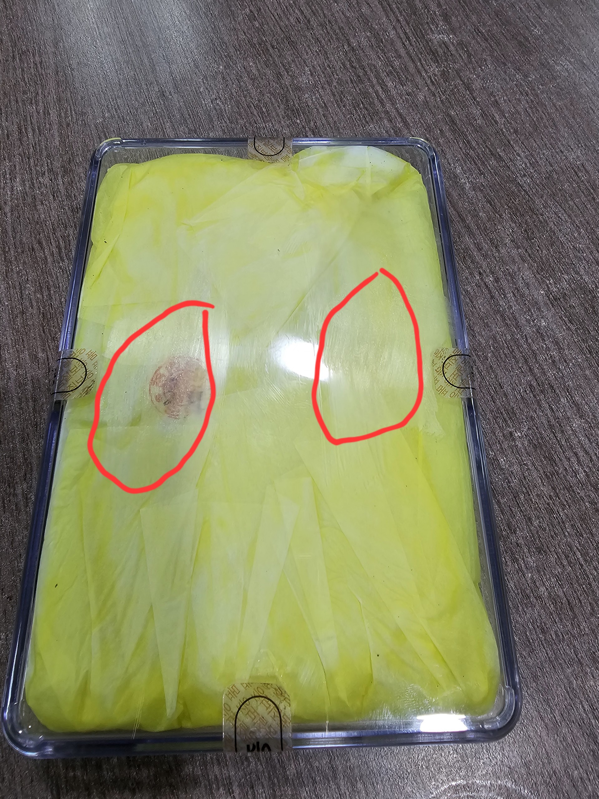 Đông Trùng Hạ Thảo Nguyên Con Cordyceps Militaris Dong Chung Ha Cho Gold Hàn Quốc - Sản Phẩm Bổ Sung Sức Khỏe Chất Lượng Cao 45g