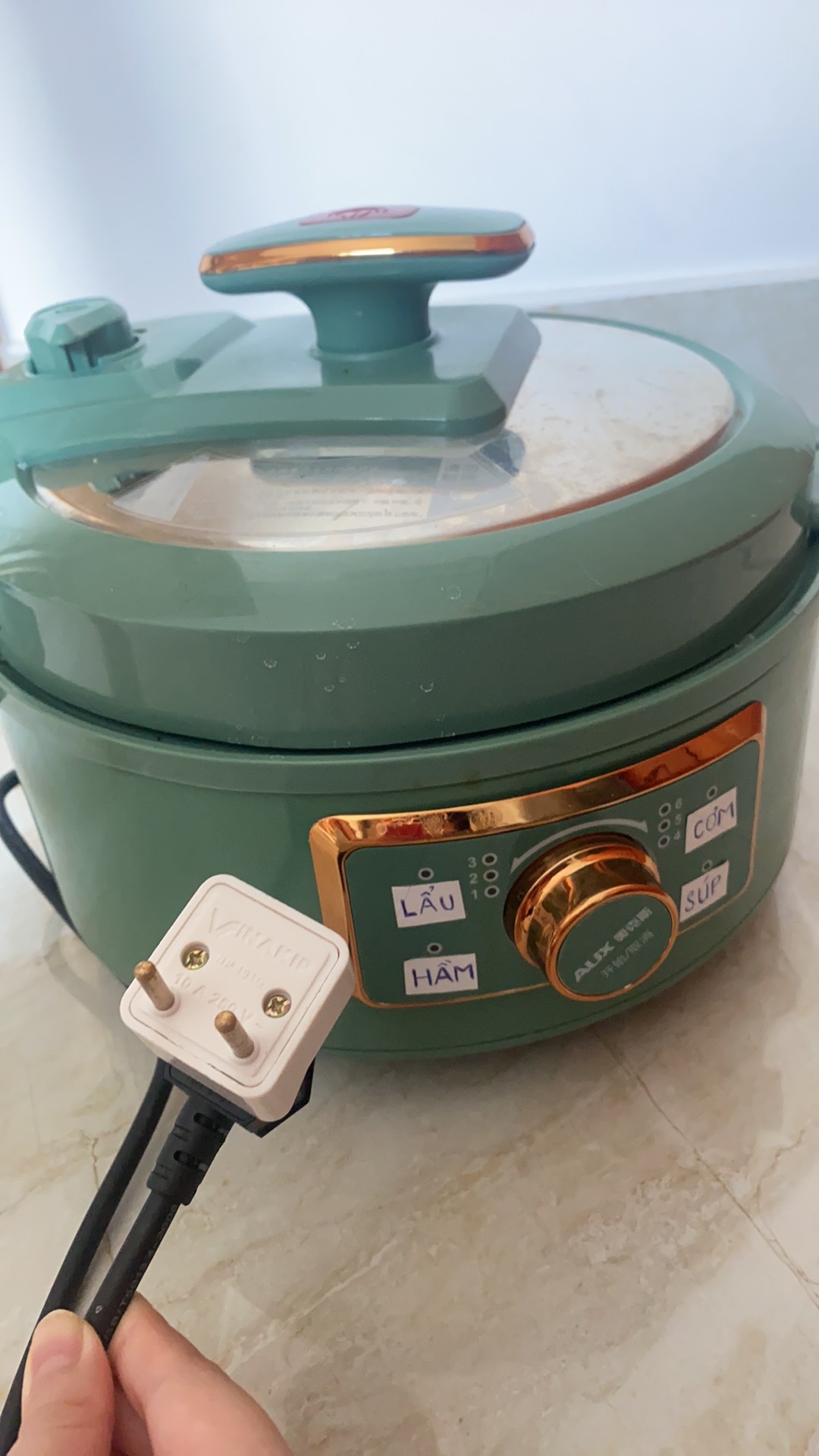 Nồi Áp Suất Điện Đa Năng AUX 4L - Thiết Kế Hiện Đại, Nấu Được Nhiều Món, Sang Trọng Màu Xanh Bóng Gold