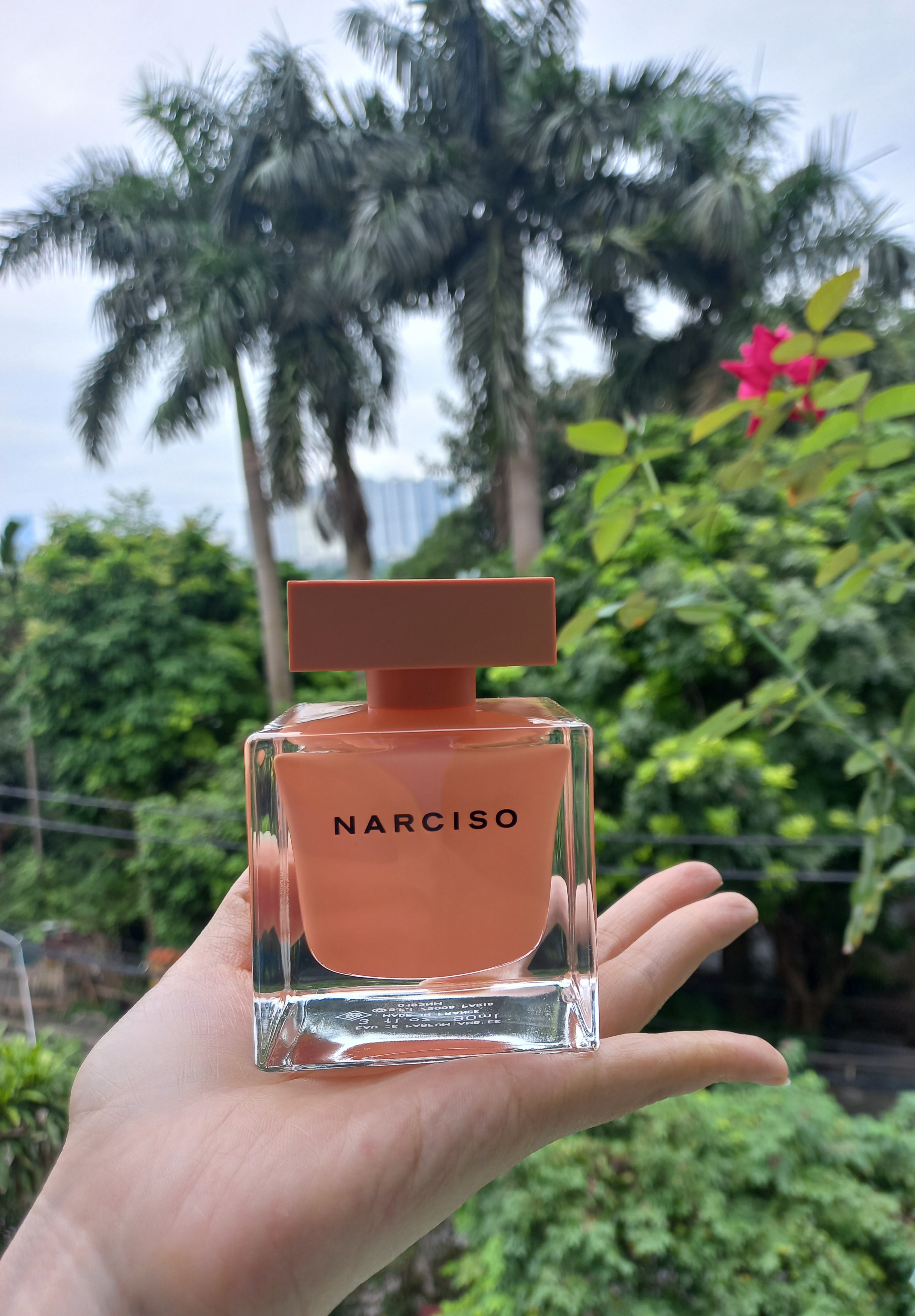 Nước hoa Narciso Ambree - Hương nước hoa nữ tính quyến rũ, sang trọng với hoa sứ, xạ hương và vanilla.
