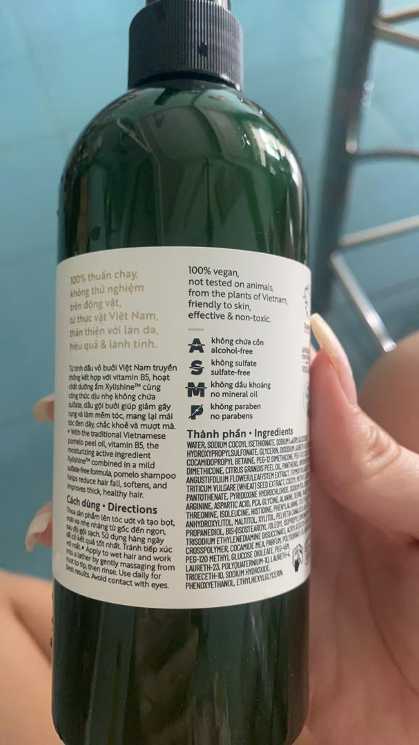 Dầu Gội Bưởi Cocoon 310ml - Hỗ Trợ Giảm Rụng Tóc và Kích Thích Mọc Tóc - Dưỡng Chất Tự Nhiên Cho Tóc Khỏe Mạnh