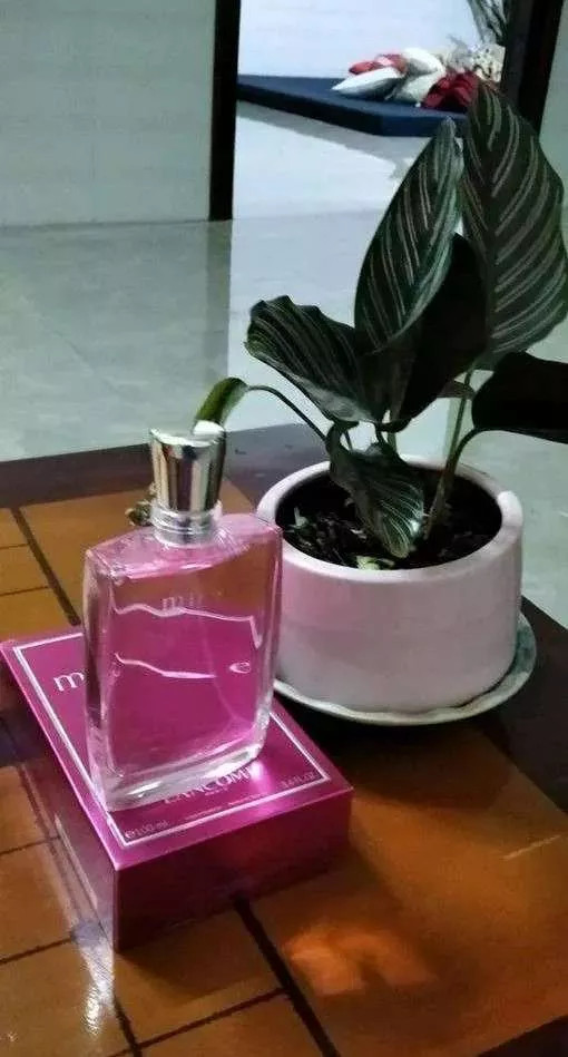 Nước Hoa Nữ Lancôme Miracle Eau De Parfum 100ML - Mùi Hương Nữ Tính, Sang Trọng, Hài Hòa Từ Hoa Tươi Và Trái Cây