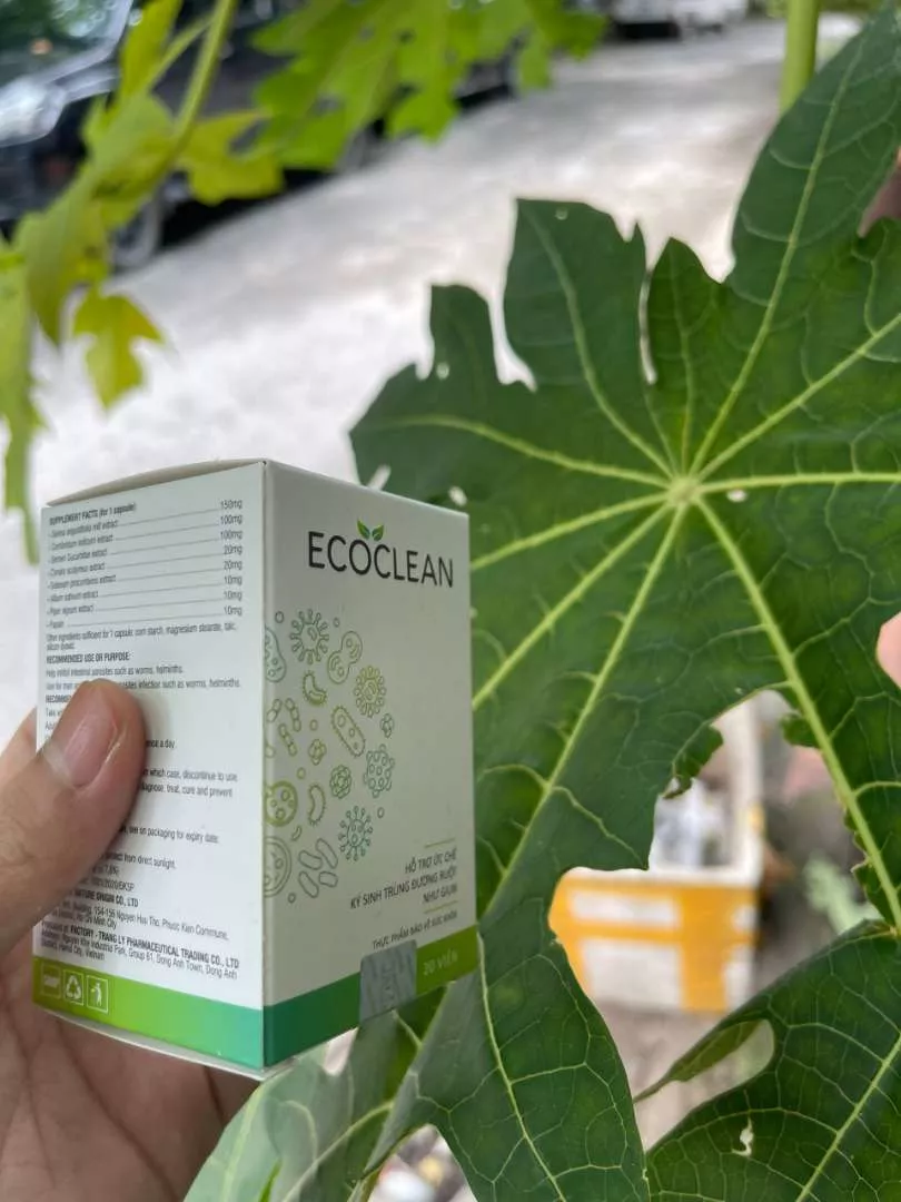 Viên Uống Ecoclean Hỗ Trợ Sức Khỏe Đường Ruột - Giải Độc Gan, Ức Chế Ký Sinh Trùng, Lọ 20 Viên Dành Cho Người Lớn & Trẻ Em Trên 2 Tuổi.