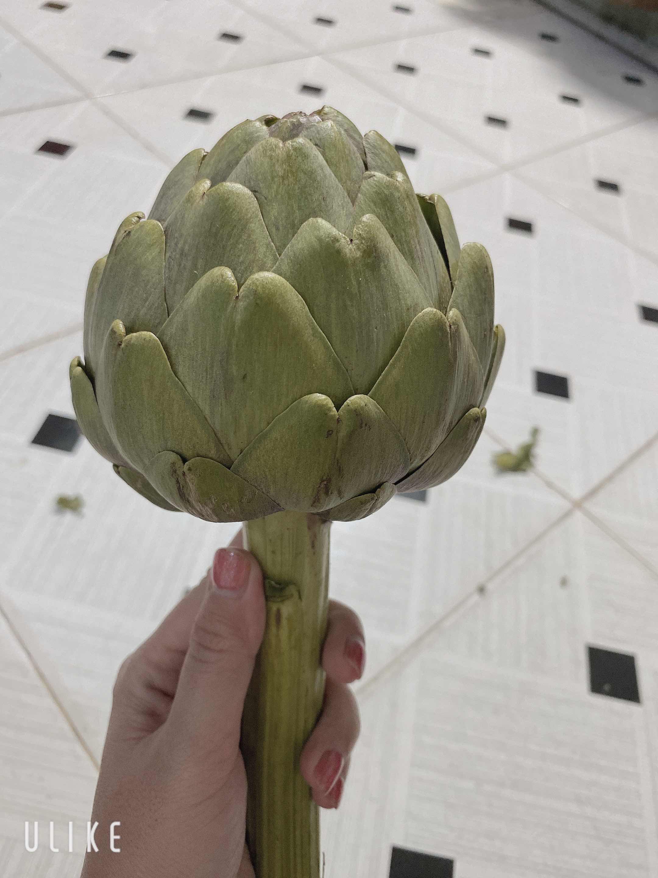 Viên uống hỗ trợ lưu thông máu Kwangdong Hàn Quốc - Giải pháp tự nhiên ngừa tê bì chân tay, tốt cho sức khỏe và tim mạch - Hộp 120 viên