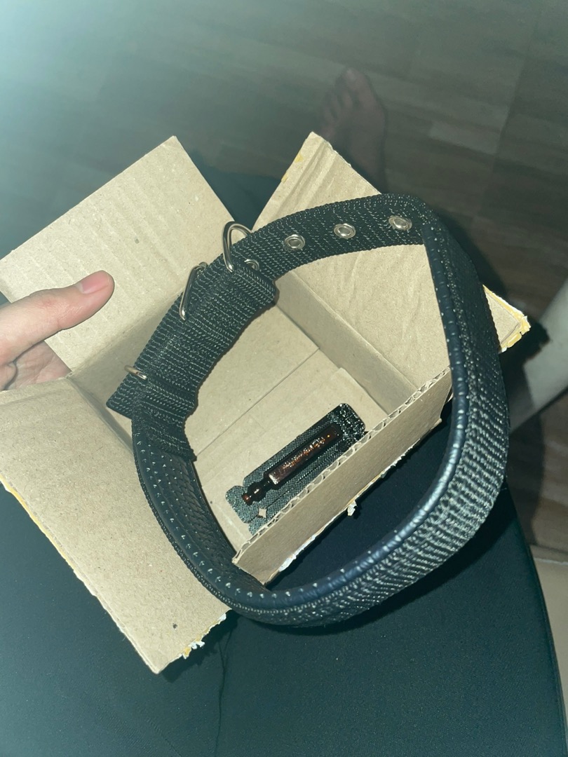 Vòng Cổ Vải Đệm Khóa Cho Chó - Phụ Kiện Thú Cưng Đẹp, Thoải Mái, Chịu Lực, Dễ Dàng Điều Chỉnh Kích Thước