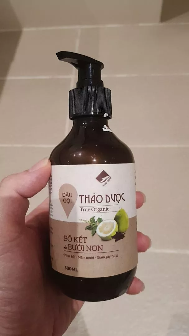 Dầu gội Bồ Kết và Bưởi Non Ecocare tóc mềm mượt và giảm gãy rụng