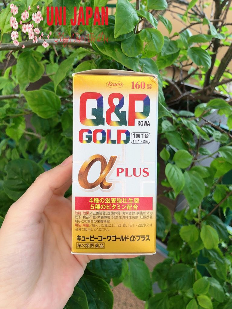 Viên Uống Q&P Gold Alpha Plus Nhật Bản - Hỗ Trợ Tăng Đề Kháng, Bồi Bổ Sức Khỏe, Sản Phẩm Thực Phẩm Chức Năng 260 Viên
