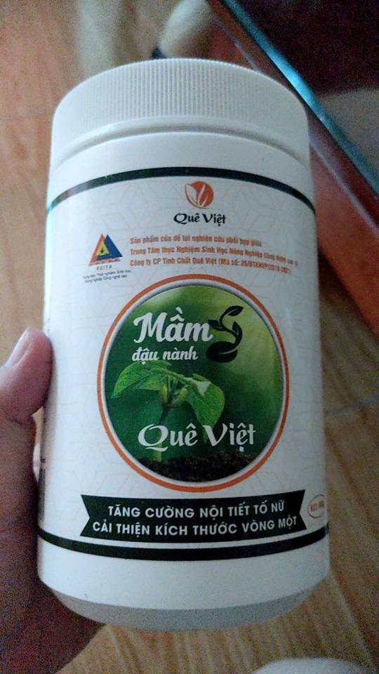 Mầm Đậu Nành Quê Việt 500g - Hỗ Trợ Cải Thiện Kích Thước Vòng 1, Tăng Nội Tiết Tố Nữ, Bột Uống Dinh Dưỡng Tự Nhiên