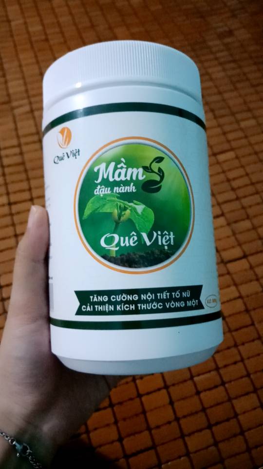 Mầm Đậu Nành Quê Việt 500g - Hỗ Trợ Cải Thiện Kích Thước Vòng 1, Tăng Nội Tiết Tố Nữ, Bột Uống Dinh Dưỡng Tự Nhiên