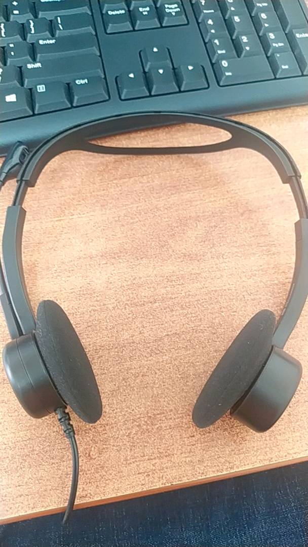 Tai nghe Logitech H370 - Tai nghe âm thanh kỹ thuật số USB-A với mic khử tạp âm, chất lượng cao cho game và nghe nhạc