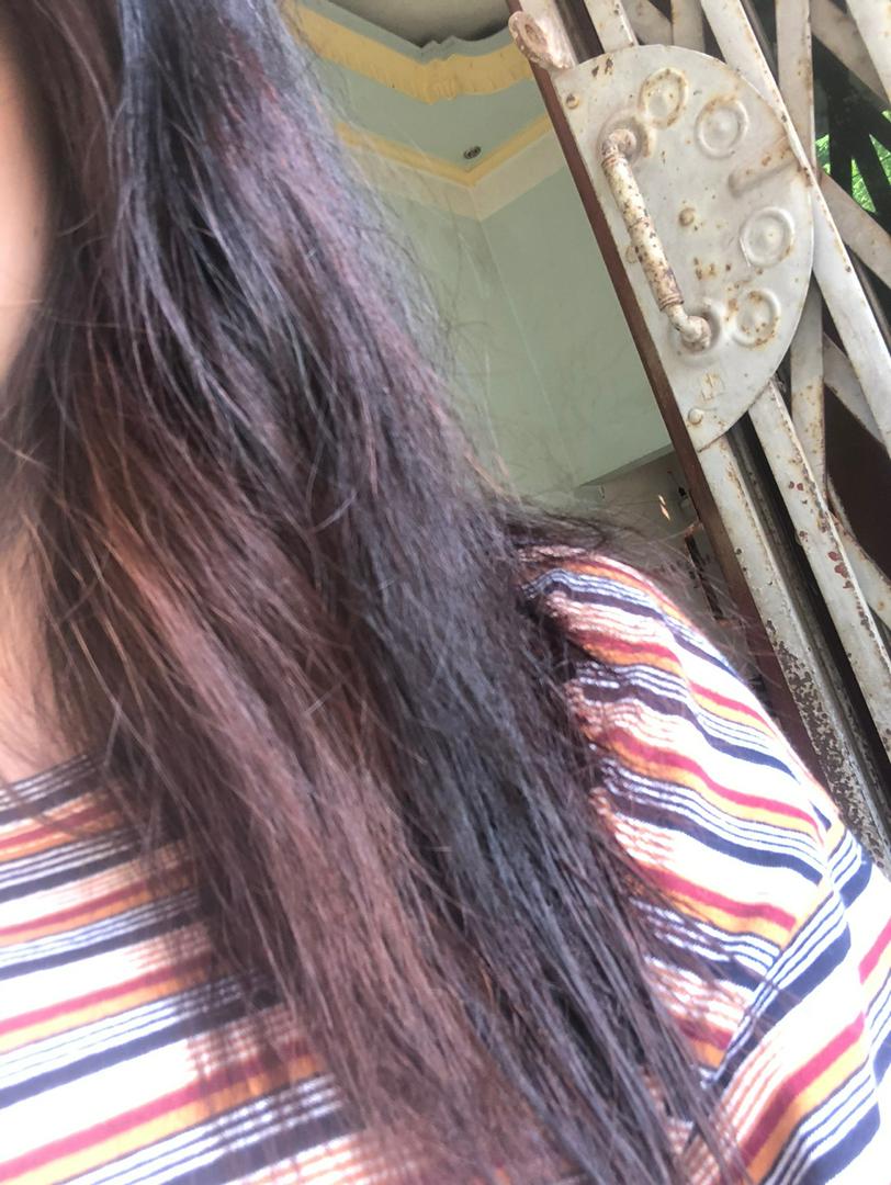 Dầu Gội Phủ Bạc Nhân Sâm Sin Hair - Nhuộm Tóc Đen/Nâu Tự Nhiên 500ml, Giúp Phục Hồi Tóc Hư Tổn và Ngăn Rụng Tóc