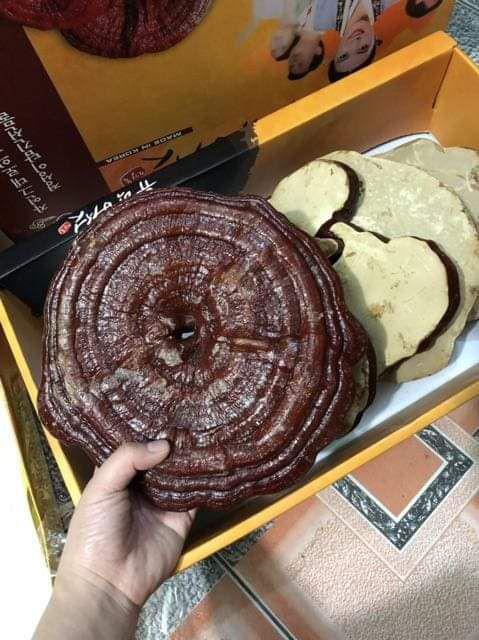 Nấm Linh Chi Vàng Hàn Quốc New Royal Nguyên Tai 1kg - Giàu Dưỡng Chất, Tăng Cường Sức Khỏe, Chất Lượng Cao Cấp