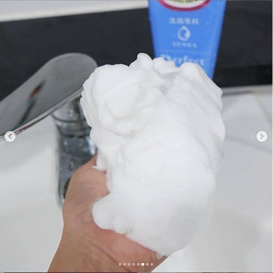 Sữa Rửa Mặt Senka Perfect Whip 120g - Làm Sạch Sâu, Bảo Vệ Độ Ẩm, Phù Hợp Mọi Loại Da, Nhật Bản