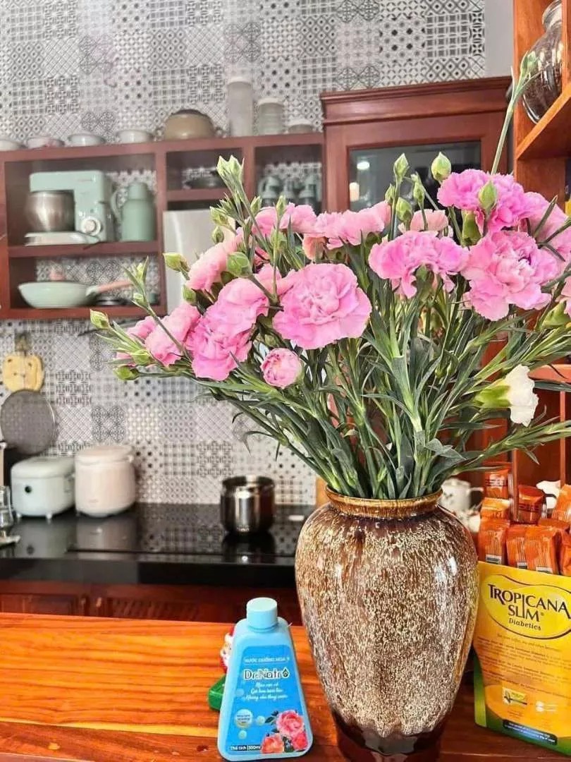 Combo 10 Chai Nước Dưỡng Hoa Dr.Natro Cao Cấp Công Nghệ Nhật Bản