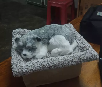 Gấu Bông Than Hoạt Tính Khử Mùi - Trang Trí Nội Thất Xe Ô Tô, Lọc Không Khí, Dễ Thương, Bảo Vệ Sức Khỏe Gia Đình