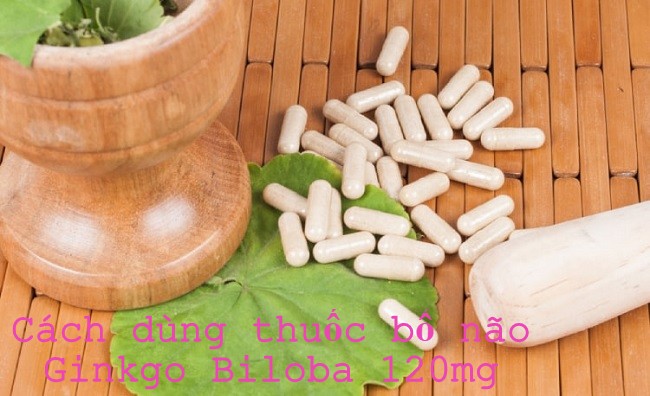 Có nên sử dụng Ginkgo biloba kết hợp với thuốc khác không?
