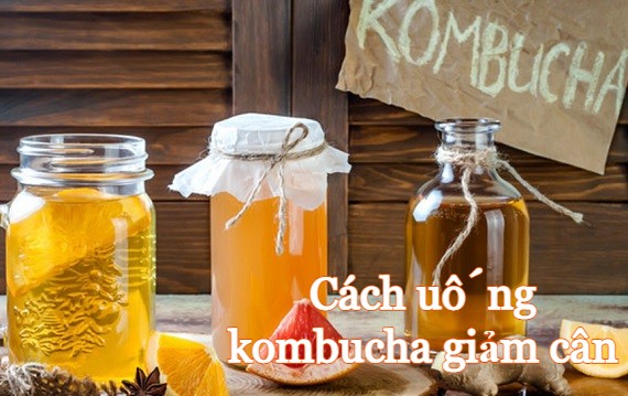 Kombucha có thể giúp cải thiện chức năng tiêu hóa và hấp thụ chất béo không?

