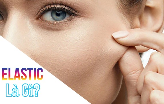 Collagen và elastin có tác dụng gì trong việc giữ cho da căng mịn?
