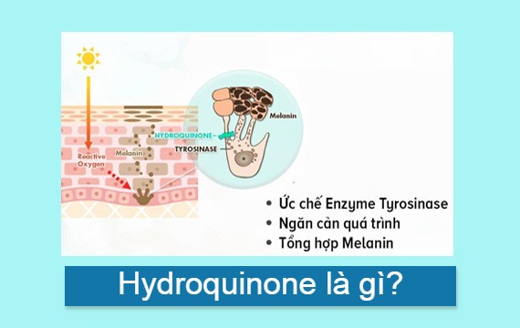 Hydroquinone Là Gì? TOP 7 Mỹ Phẩm Chứa Hydroquinone Tốt Nhất