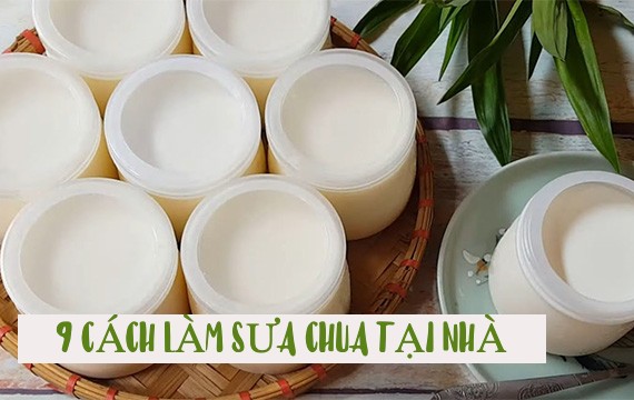 Cách lưu trữ sữa chua sau khi làm ở Mỹ để giữ được tươi và ngon lâu nhất