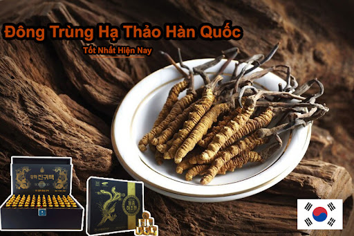 Cách sử dụng và liều lượng đông trùng hạ thảo nhân sâm Hàn Quốc là như thế nào?
