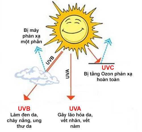 Các tia UV là nguyên nhân gây sạm da, đen da và hiện tượng lão hóa da sớm