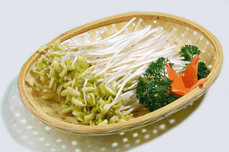  Máy trồng giá đỗ Facare- Japan chỉ sử dụng nước và hạt giống để tạo nên những mầm non phục vụ cho bữa ăn trong gia đình bạn