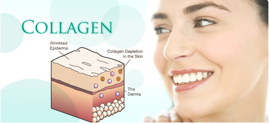 Công dụng của The Collagen Shiseido sữa ong chúa cung cấp hàm lượng cao Collagen, HA & Gaba giúp tăng cường sức khỏe cho làn da