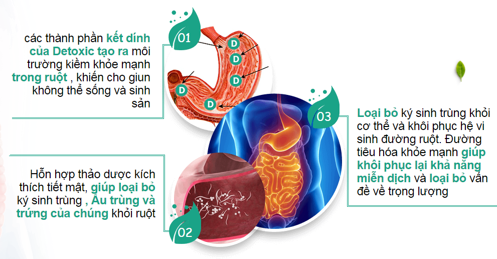 Detoxic Chế Phẩm Diệt Ký Sinh Trùng Của Nga (Mua 2 Tặng 1)