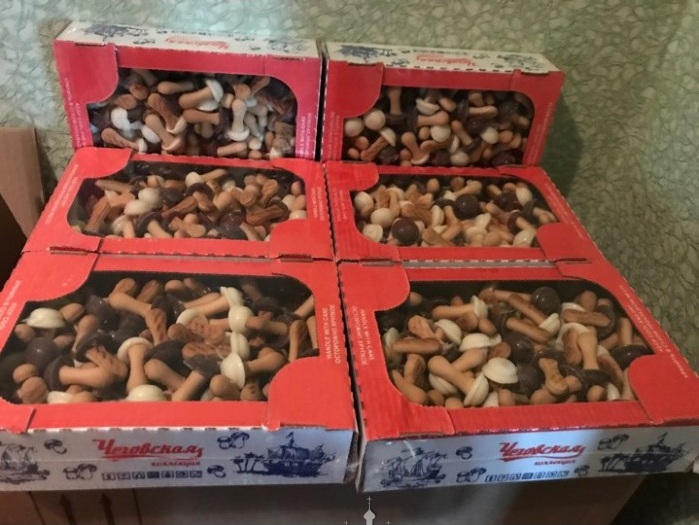 Bánh quy nấm Nga Socola