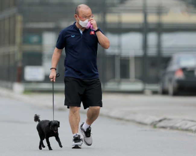 Để chó khỏe mạnh, không bị tiêu chảy thì bạn nên thường xuyên dắt chó đi dạo
