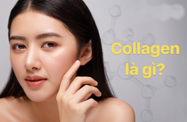 , Collagen là một cấu trúc Protein dồi dào nhất trong cơ thể