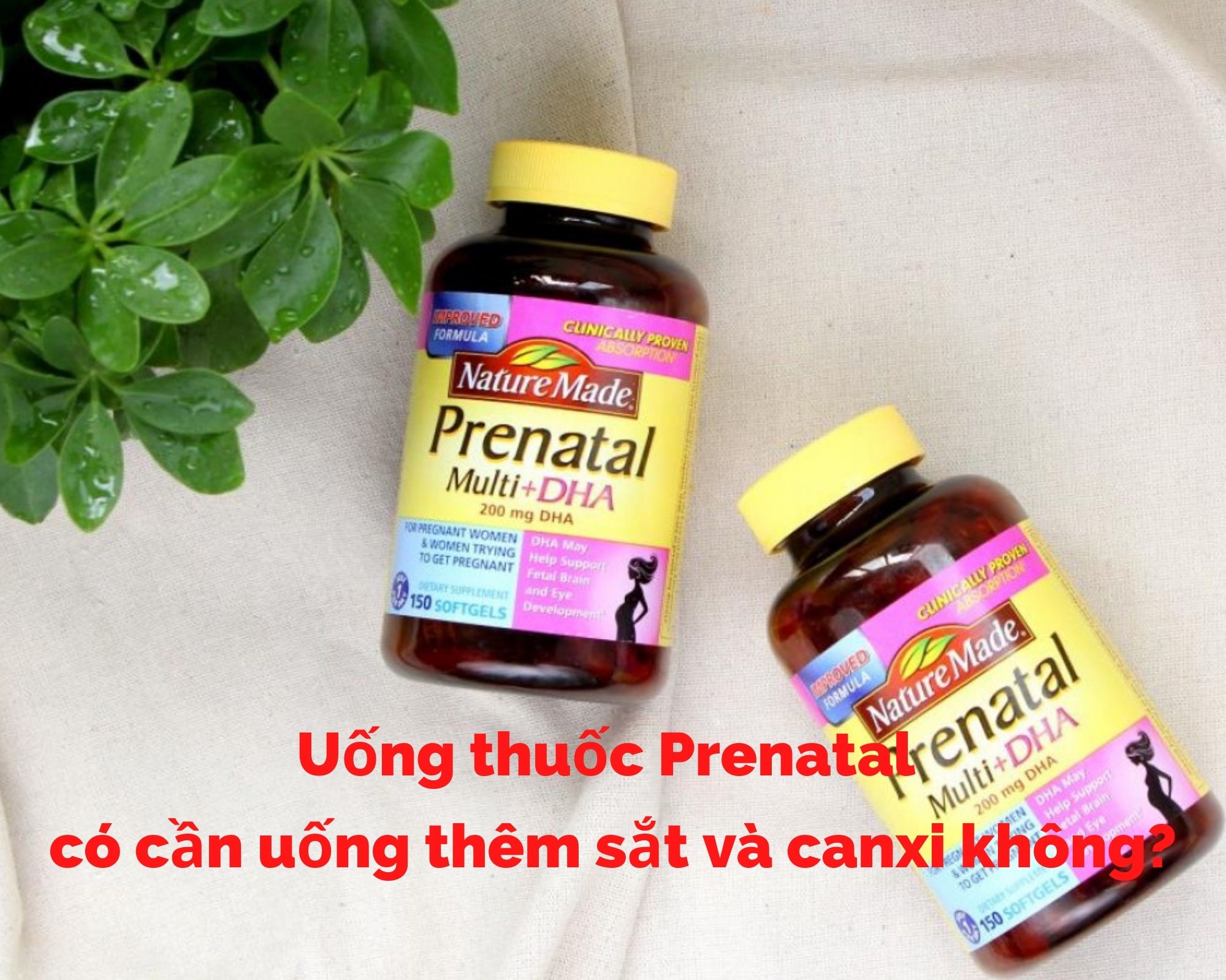 Giái đáp uống prenatal có cần uống thêm sắt và canxi không