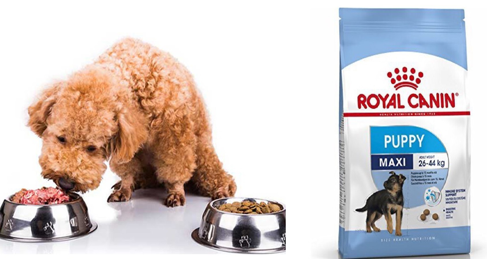 Thức ăn cho chó Royal Canin dành cho 2 - 15 tháng tuổi