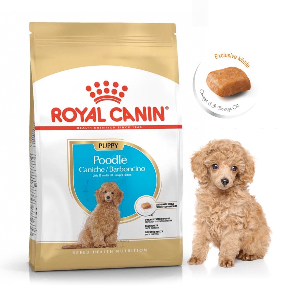 Thức ăn cho chó Royal Canin dùng cho Poodle dưới 10 tháng tuổi