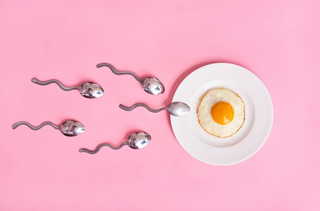 Chất lượng trứng ảnh hưởng trực tiếp đến khả năng thụ thai;
