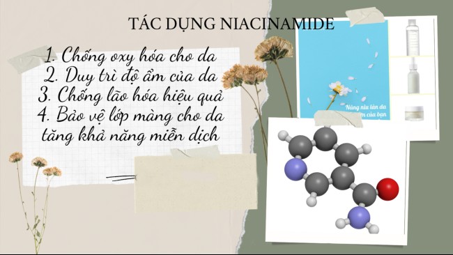 Niacinamide là thành phần nhẹ nhất trong phương pháp Treatment