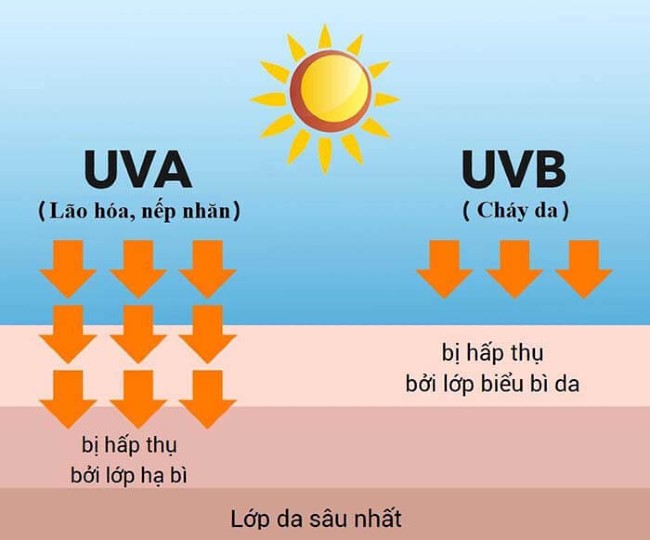 Chỉ số SPF trong kem chống nắng có thể chóng được tia UVA - UVB