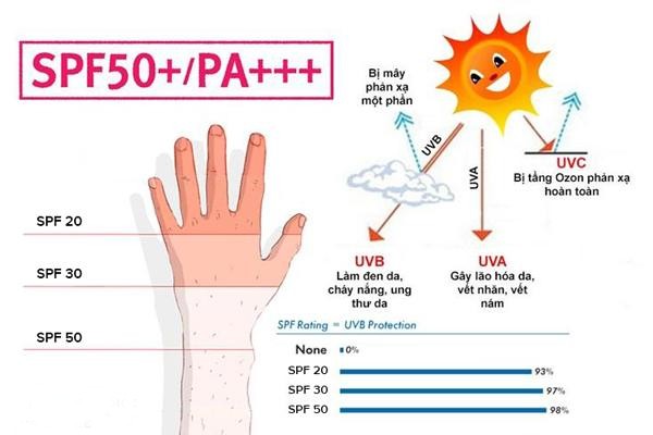 Chỉ số SPF giúp ảnh báo khả năng mức % ngăn chặn tia UV độc hại