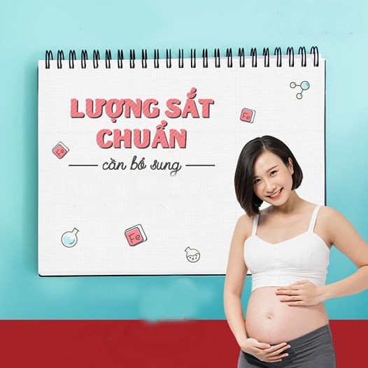 Cách uống sắt, canxi và DHA cho bà bầu hiệu quả theo từng giai đoạn