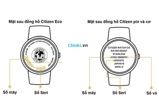 Logo và dây của citizen chính hãng