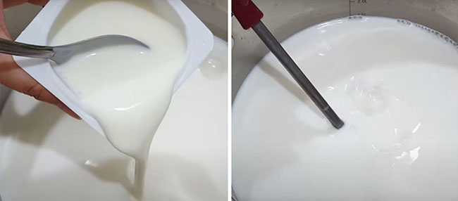 Cách làm sữa chua không đường - bước 2